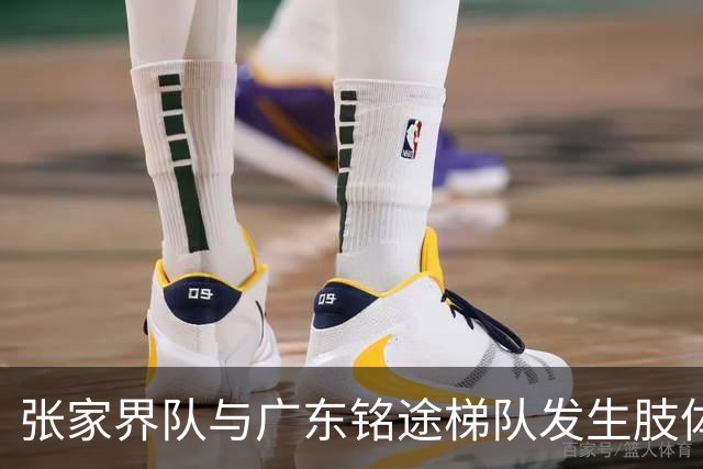 张家界队与广东铭途梯队发生肢体冲突，湖南省足协：暂停涉事人员参加省内一切足球活动